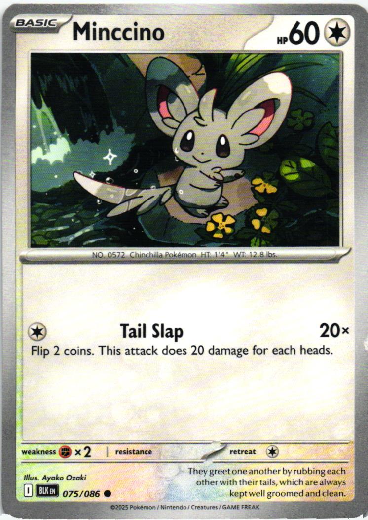 BLK Minccino 075/086 Black Bolt Common English