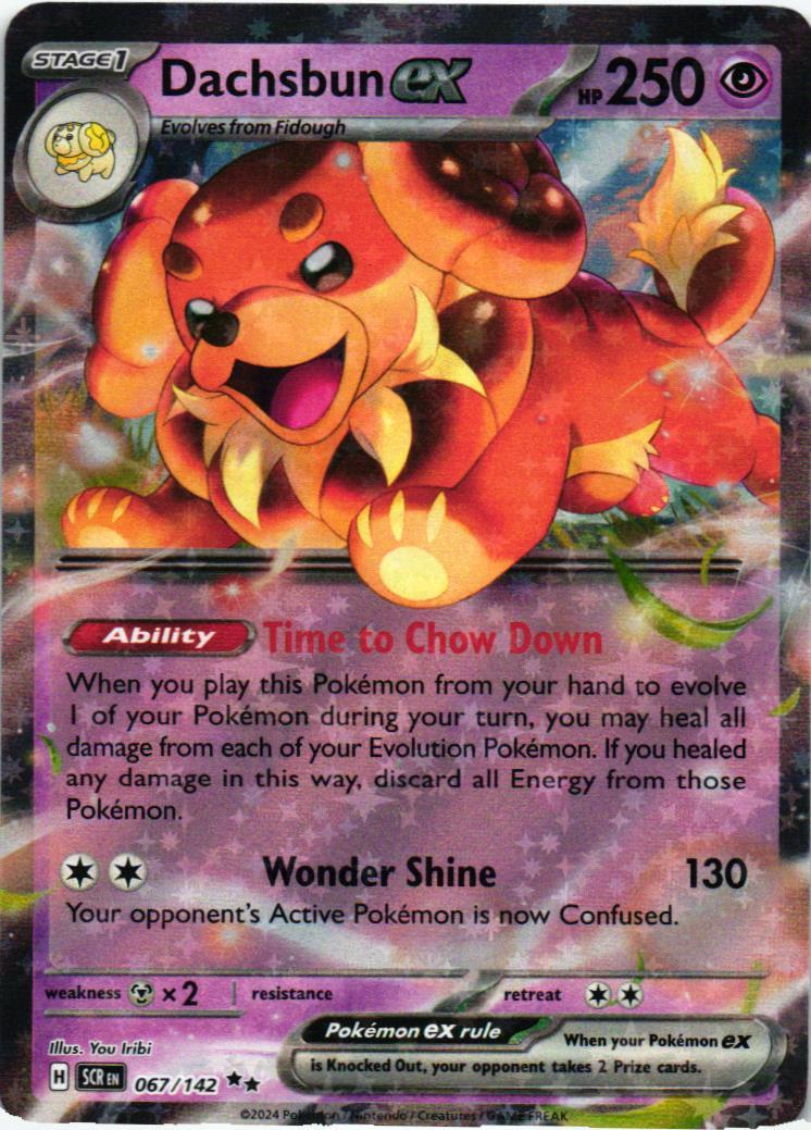 SCR Dachsbun ex 067/142 Stellar Crown Double rare English